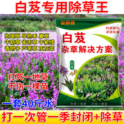 白芨苗后除草剂除草不伤苗白芨除草剂禾阔双除马塘狗尾草稗草