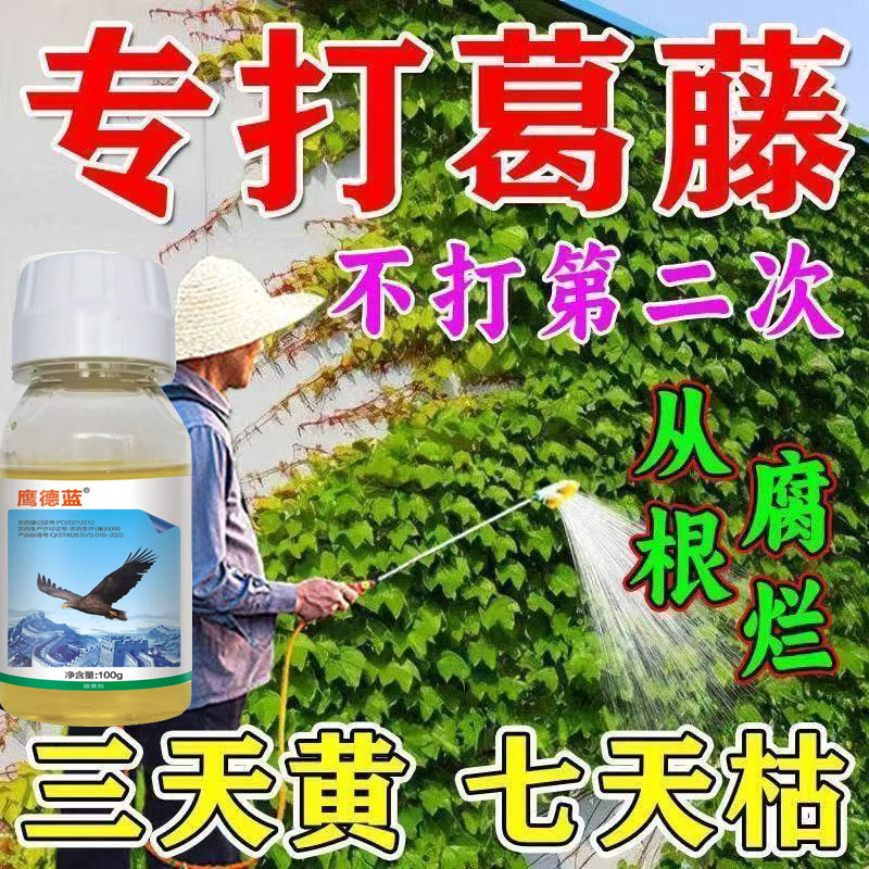 葛藤专杀除草剂葛藤蔓专用药灭葛藤除阔叶杂草烂根剂葛藤灭草