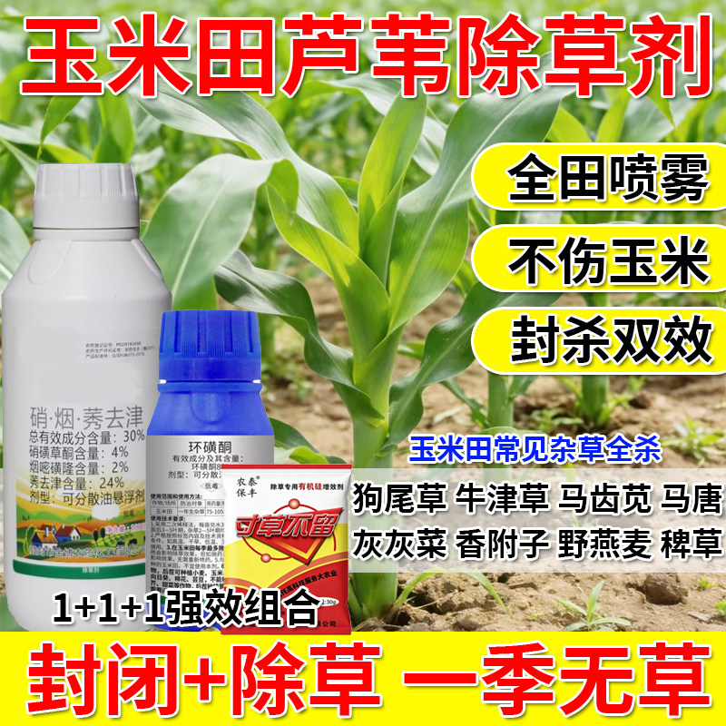 玉米苗后恶性杂草除草剂玉米田香附子芦苇牛津草死草烂根不伤苗药