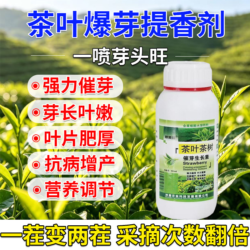 茶叶催芽剂多芽嫩芽叶面肥图片