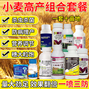小麦高产套餐10效合一杀虫治病高产锈病白粉病纹枯病蚜虫红蜘蛛