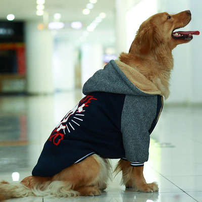 狗狗衣服两脚厚款卫衣加绒大型犬