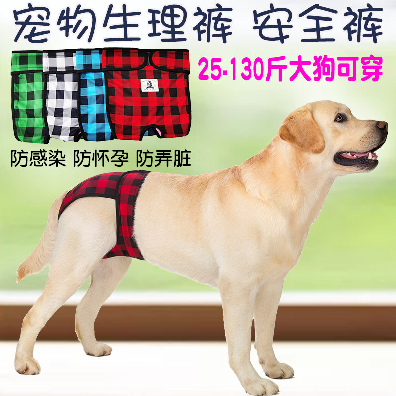 狗狗生理裤宠物月经裤母狗姨妈巾金毛大型犬防骚扰大狗卫生安全裤