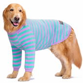 宠物狗狗衣服薄款 金毛拉布拉多中型大型犬防掉毛护关节护肘衣两脚