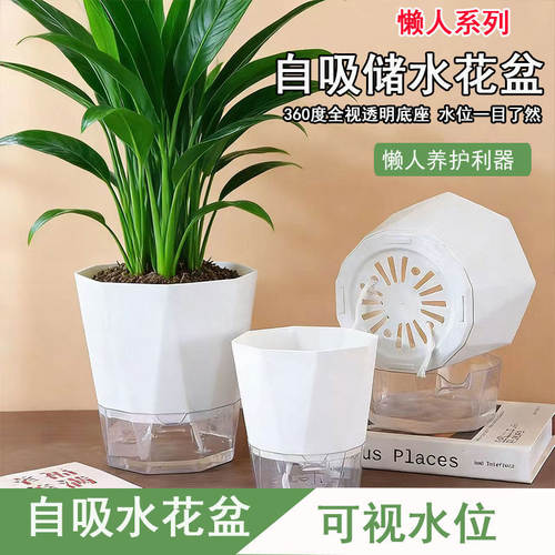 懒人自吸水花盆培植物器皿
