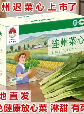 连州菜心新鲜现摘现发广东迟菜心农家自种当季时令蔬菜清甜爽包邮