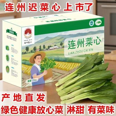 连州菜心新鲜现摘现发农家自种