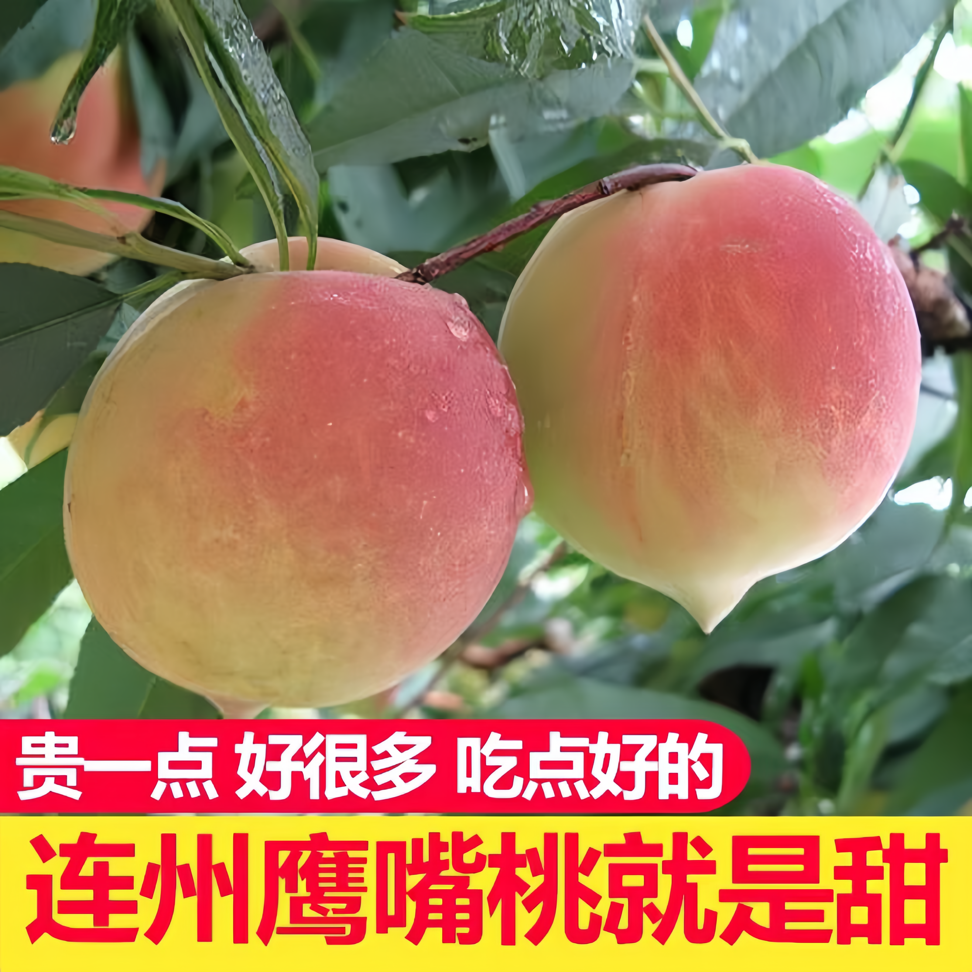 连州鹰嘴桃水蜜桃脆桃现摘新鲜水果香甜多汁毛桃蜜桃桃果时令水果