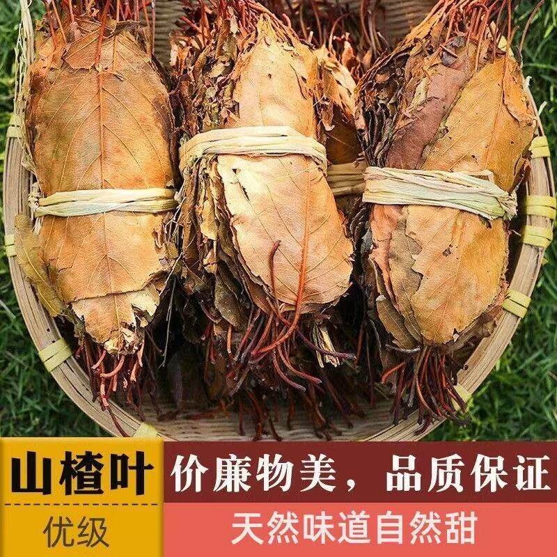 广东连州新货野生山楂叶茶养生茶梨楂叶农家无硫自然晒干山楂树叶