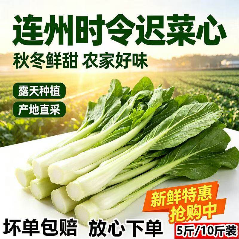 广东连州菜心新鲜现摘现发迟菜心农家自种当季时令蔬菜清甜爽包邮