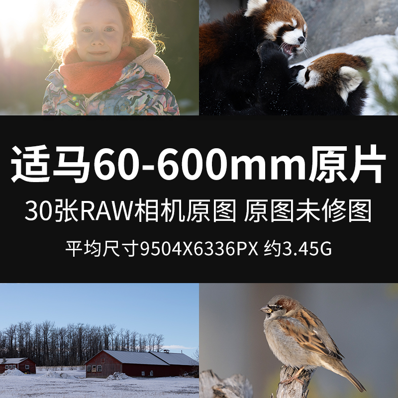 适马60-600mm原片原图RAW+JPG相机直出图未修图练习修图素材图片