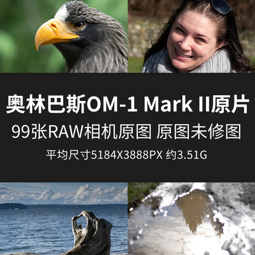 奥林巴斯OM-1 Mark II原片样片RAW+JPG相机直出未修原图素材图片