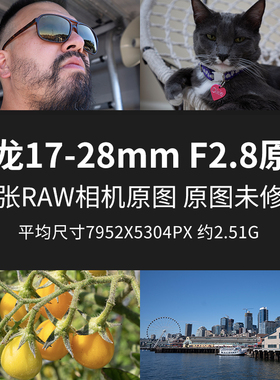 腾龙17-28mmF2.8DiIIIRXD原片RAW+JPG相机直出图未修练习素材图片