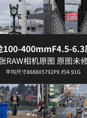 腾龙100-400mm F4.5-6.3原片原图RAW+JPG相机直出未修图素材图片