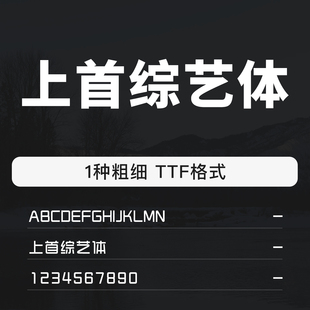 上首综艺体字体包中英文数字字体ttf电脑字体文件支持mac/win系统