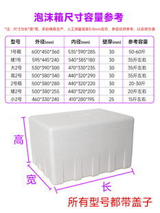 可定制特号泡沫箱子种菜菜箱1号2号加厚加蔬大大海大鲜箱号泡沫盒