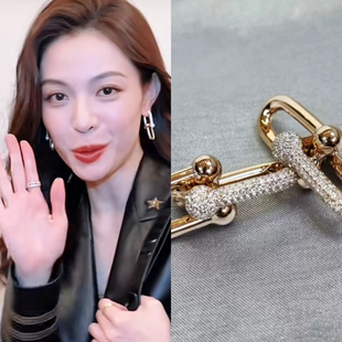 生活在别处 欧美风 我夏果同款 镶钻V金高级感耳钉女轻奢时尚