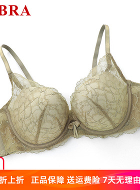 安莉芳旗下E-BRA蕾丝立体掌托杯女士内衣小胸聚拢上托文胸KB00278