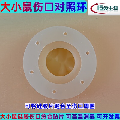 小鼠大鼠伤口愈合贴片拍照对照环硅胶环伤口对照圈创口硅胶垫片