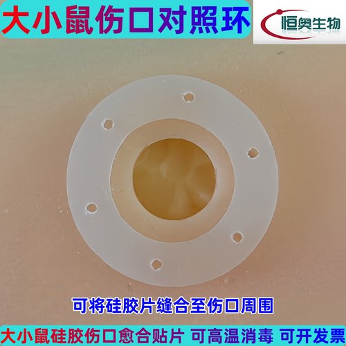 小鼠大鼠伤口拍对照圈环片硅胶圈