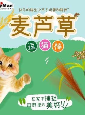 现货 cattyman国产猫玩具麦芦草仿真长款短款超长逗猫棒麦穗芦苇