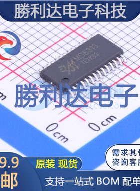 MS8313封装ETSSOP-28栅极驱动IC全新现货 量大价优