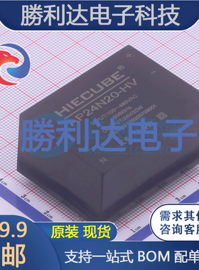 AP24N20-HV封装ThroughHole电源模块