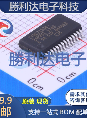 CY8C21534-24PVXI封装SSOP-28_208mil处理器 全新现货
