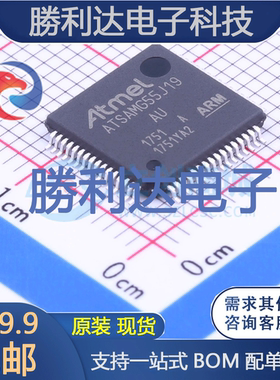 ATSAMG55J19A-AU封装LQFP-64处理器 全新现货
