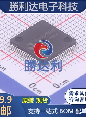 FM33LC026N 封装LQFP64 其他处理器及微控制器(MCU) 全新原装现货