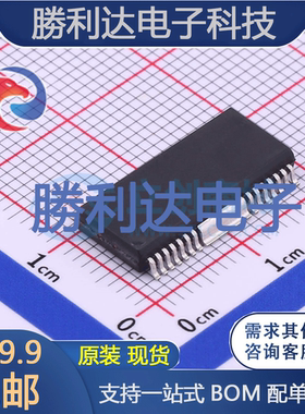 CS3820EO封装HSOP28音频功率放大器全新现货 量大价优