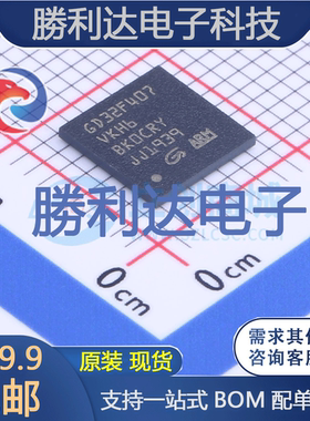 GD32F407VKH6封装BAG-100GigaDevice(兆易创新)全新现货 量大价优