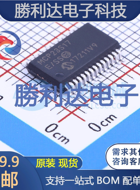 MCP23S17-E/SS封装SSOP-28_208milI/O扩展器全新现货 量大价优