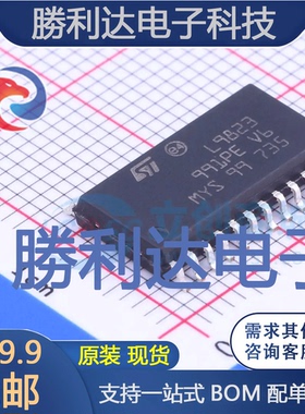 E-L9823013TR封装SO-24功率电子开关全新现货 量大价优