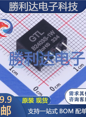 B2403S-1W封装Through Hole电源模块全新现货 量大价优