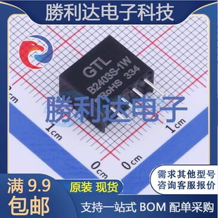 B2403S-1W封装Through Hole电源模块全新现货 量大价优