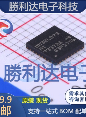 MM32L073NT封装QFN-32单片机(MCU/MPU/SOC)全新现货 量大价优