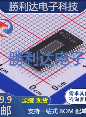 TAS5132DDV封装TSSOP-44音频功率放大器 全新现货