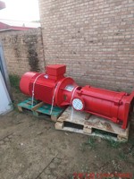 WILO威乐电动机消防泵组  立式多级消防泵组电机1电议价产品