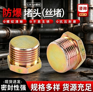 防爆堵头Q235碳钢材质密封外丝6分丝堵DN15DN204分1寸304S不锈钢