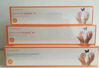 实验耗材 原装GE法玛西亚 N+尼龙膜 Pharmacia  RPN303B 现货