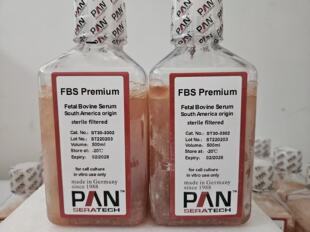 PAN胎牛血清-ST30-3302-500ml 科研血清 南美血清现货可发包邮