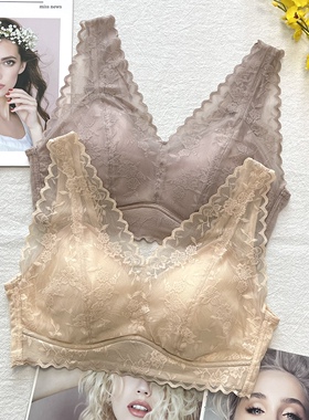 蚕丝蛋白蕾丝美背内衣5511大胸显小聚拢收副乳宽肩带无钢圈文胸罩