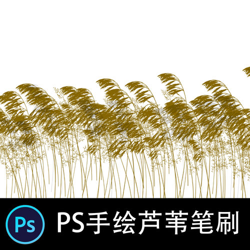 手绘芦苇PS笔刷苇草板绘插画绘画设计图章CG动漫笔刷