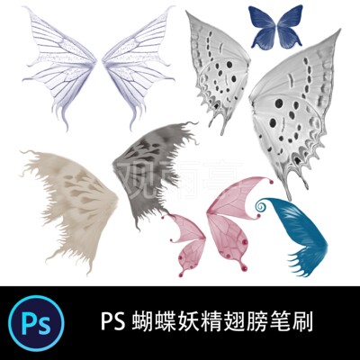 PS笔刷 手绘漂亮的蝴蝶妖精翅膀笔刷插画绘画板绘笔触素材