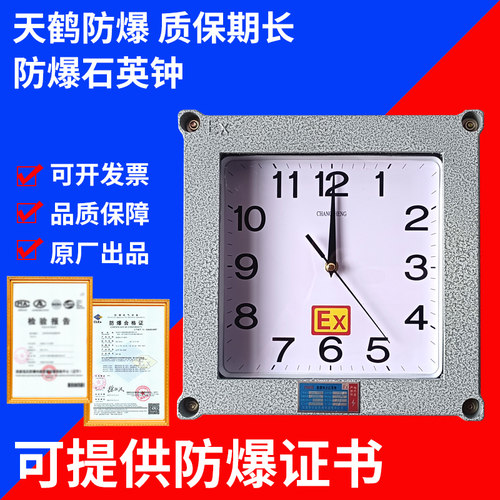 天鹤防爆挂钟钟表石英电子钟
