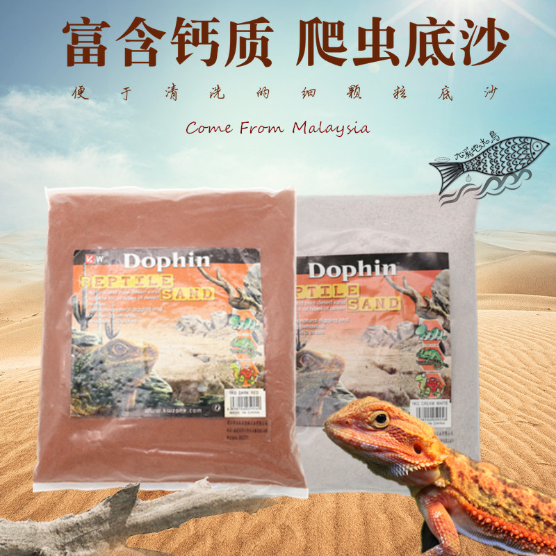 建荣鬃狮爬虫沙砂蜥蜴守宫沙爬宠爬宠缸/箱