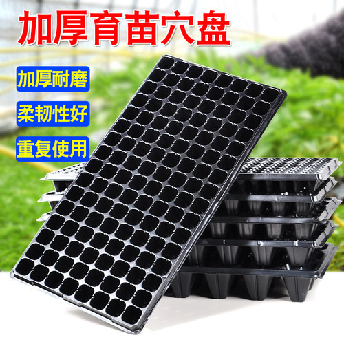 芊萱穴盘育苗盆加厚全新料