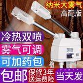 泰东蒸脸器美容仪冷热喷雾机器美容院专用补水仪家用纳米热冷双喷