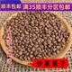 炒莱菔子 50克 可打粉 精选 包邮 炒莱菔籽 无硫熏满 中药材